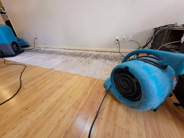 Professional Water Removal technician working in Inman, KS
